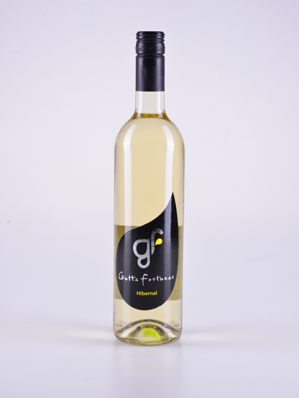 Hibernal, zemské, suché, 2015 - Guttafortunae