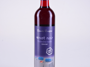 Rulandské modré, výběr z hroznů, suché, 2016 – Znovín