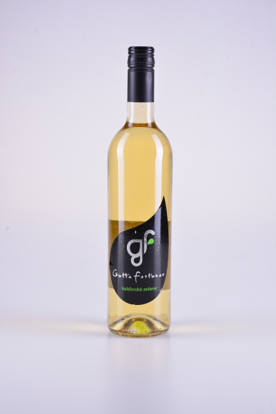 Veltlínské zelené, zemské, polosuché, 2015 – Guttafortunae